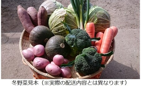 A-091 「極野菜」旬の極上お野菜セット【百姓道有元農場】霧島市 国産 詰め合わせ 食材 お楽しみ