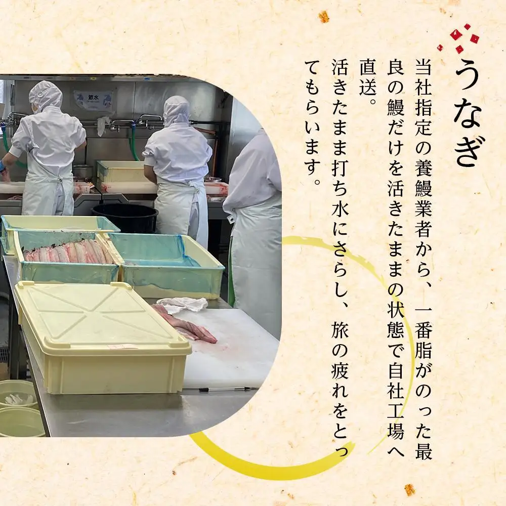 ひつまぶし店『まるや本店』うなぎ長焼き2本 | うなぎ 鰻 魚介類 水産 食品 人気 おすすめ ギフト 冷凍 温めるだけ お土産 愛知県 長久手市　