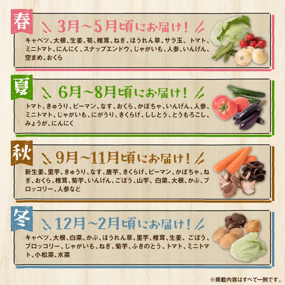 【定期便3回】【毎月お届け】八代市産！旬の農産物詰合せ 復興 福袋 7品以上 毎月 野菜 果物 熊本県 八代市