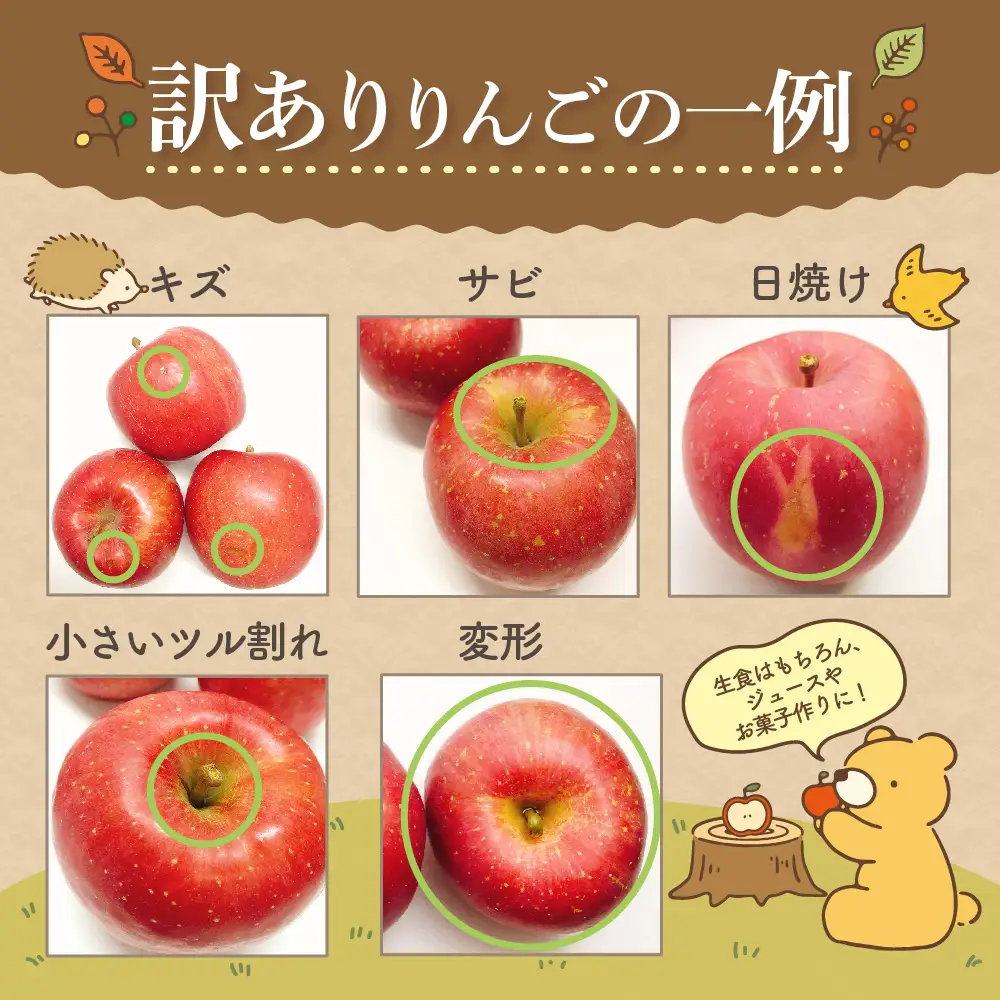 【2026年12月下旬発送】【訳あり】 りんご 約10kg サンふじ 青森 家庭用 りんご