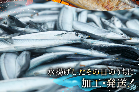 【期間限定発送】 生 さんま 10尾 