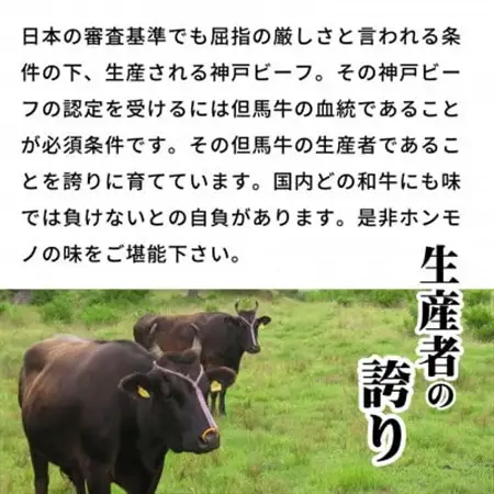 但馬牛ロースと赤身 店長おすすめ部位 食べくらべ 500g【配送不可地域：離島】【1242705】