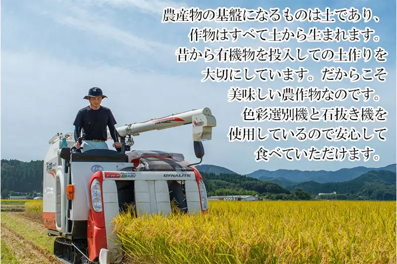 【令和7年産】 山形県庄内産 小池半左衛門のお米 はえぬき 無洗米 10kg (5kg×2袋)