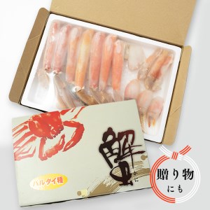 生冷 大ずわいがに 800g 数量限定 バルダイ種 ずわいがに かに _AF008