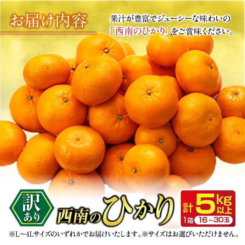 年内お届け 先行予約 訳あり みかん 西南のひかり 5kg 希少 2026 12月発送_BC168-26