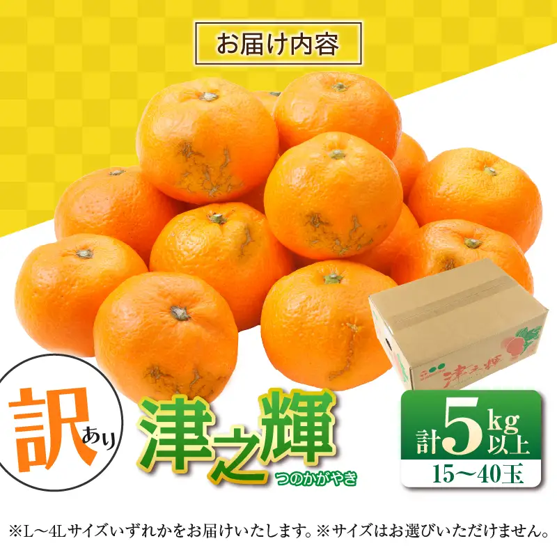 先行予約 訳あり みかん 津之輝 つのかがやき 5kg 希少 L ～ 4L サイズ不揃い フルーツ_BD144-26