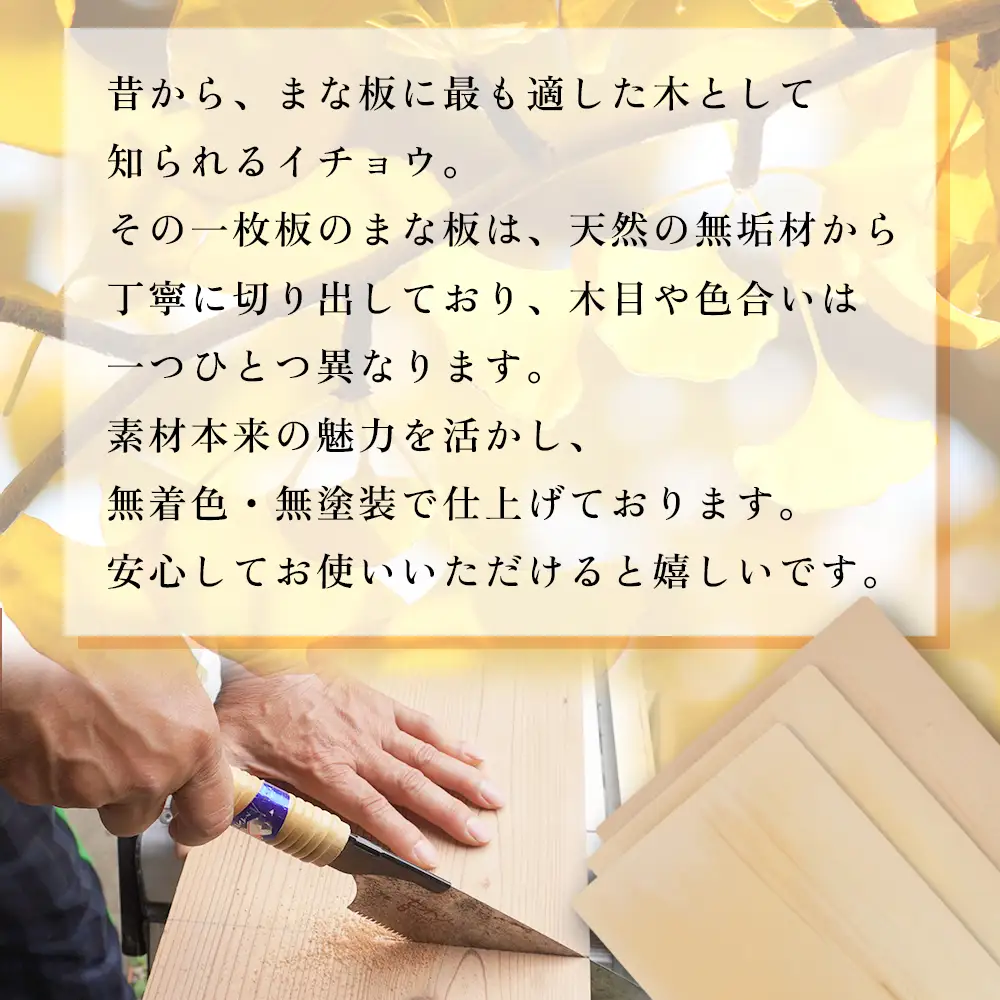 いちょうの一枚板のまな板（大幅広）45cm×30cm H36