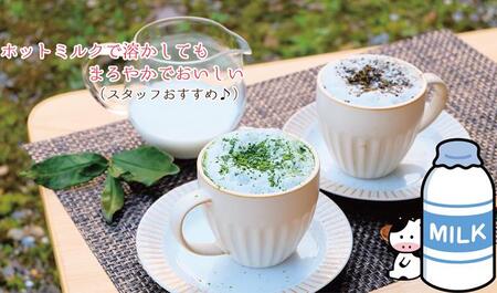 〈京の老舗〉ねこ忍茶かぷちーの2箱セット（カプチーノ お茶 京都