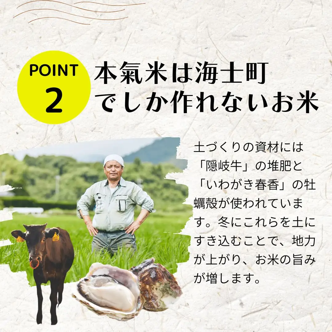 コシヒカリ 10kg ブランド 本氣米 精米 白米