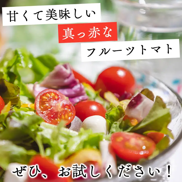 トマト フルーツトマト 2kg 高糖度〈2026年12月以降順次配送分〉 kr-0085