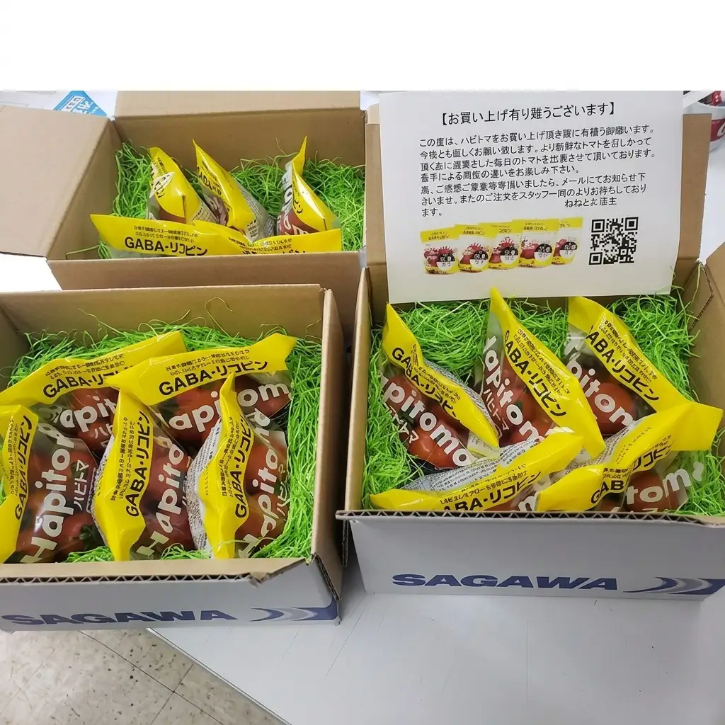 ミニトマト ハピトマ 機能性表示食品 糖度9 GABA ミニトマト【1kg】