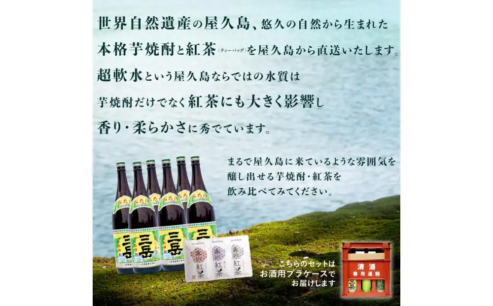 焼酎一升瓶 三岳6本+紅茶セット｜焼酎 紅茶
