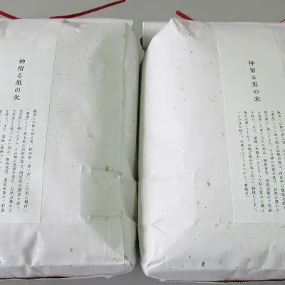 あきたこまち 秋田県産 鳥海山の恵み 精米したて 農家直送 あきたこまち【計90kg 10kg(5kg×2)×9回】【定期便】