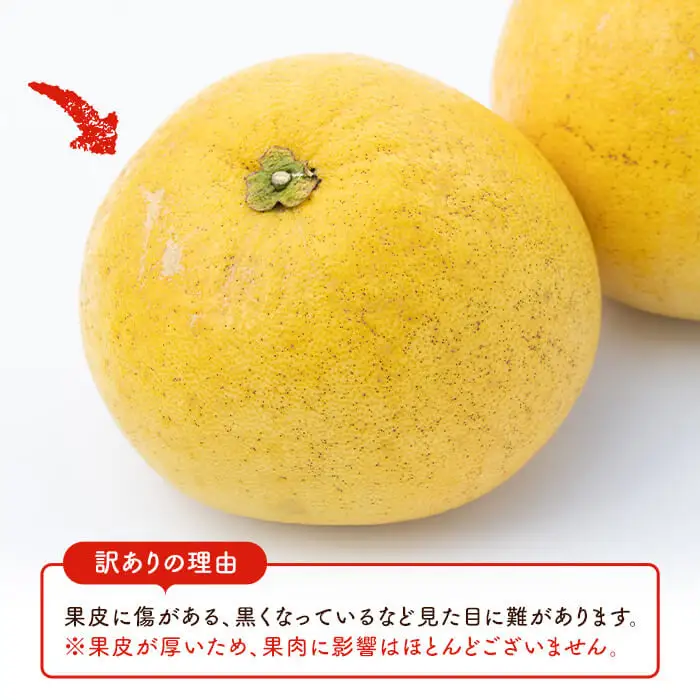 ＜先行予約受付中！2027年1月上旬以降順次発送予定＞訳あり！鹿児島県阿久根市産ボンタン(計8kg)国産 ぼんたん 文旦 柑橘 果物 フルーツ【松永青果】akn053-02