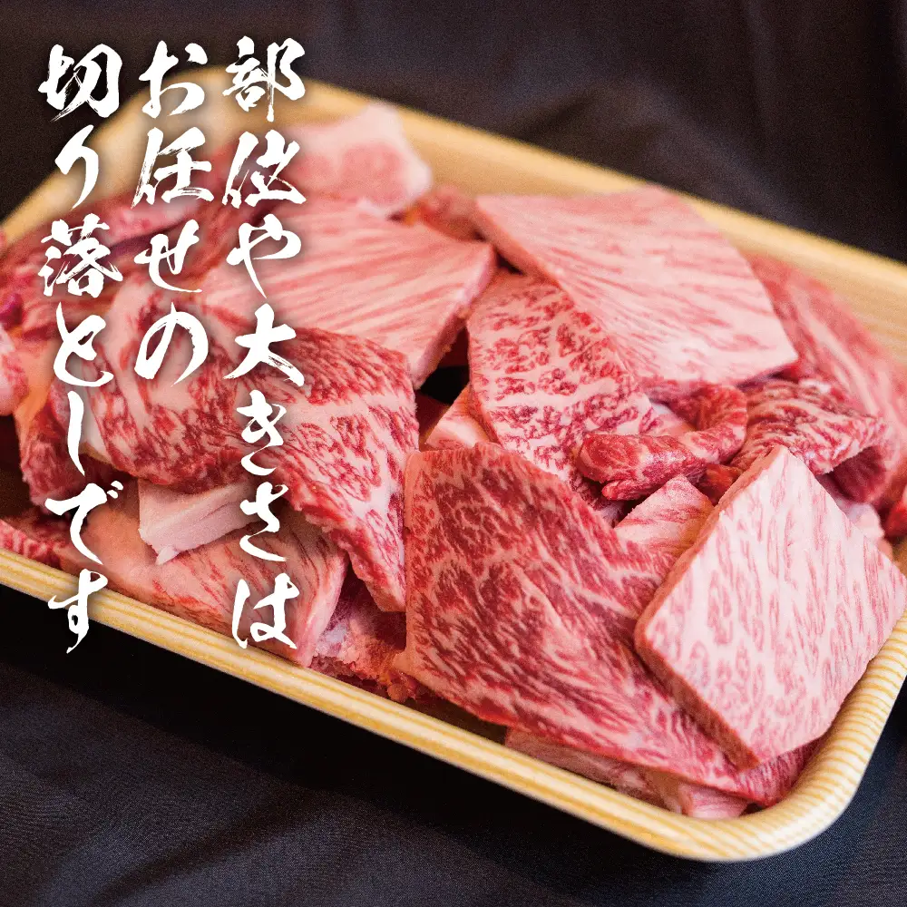 【ふるなび限定】飛騨牛 訳あり 焼肉1kg 切りおとし | 牛肉 訳あり 丸明 LR008-CP02 FN-Limited-PR