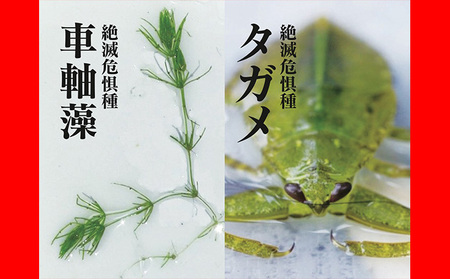 米自然米こばファーム精米有機JAS認証米【2kg(1kg×2袋)】