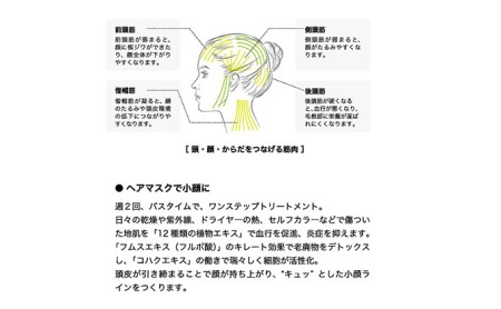 「SBCP生ミネラルヘアマスク」　特別な日のバスタイム　男女兼用　185g 美容 トリートメントヘアマスク 