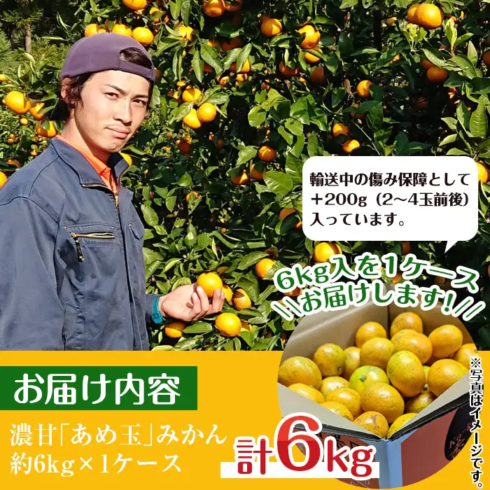 i570 【特別栽培・最高金賞】濃甘あめ玉みかん(3S~M / 約6kg・1箱＋傷み保障 約200g(3～4玉) ) みかん 蜜柑 ミカン 柑橘 果物 フルーツ 果実 国産 鹿児島 【Farmer friends Marche】