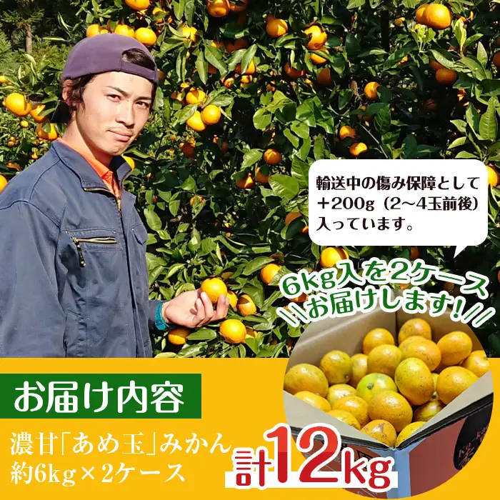 i571 【特別栽培・最高金賞】濃甘あめ玉みかん(3S~M / 計約12kg・6kg×2箱＋傷み保障 約200g(3～4玉)) みかん 蜜柑 ミカン 柑橘 果物 フルーツ 果実 国産 鹿児島 【Farmer friends Marche】