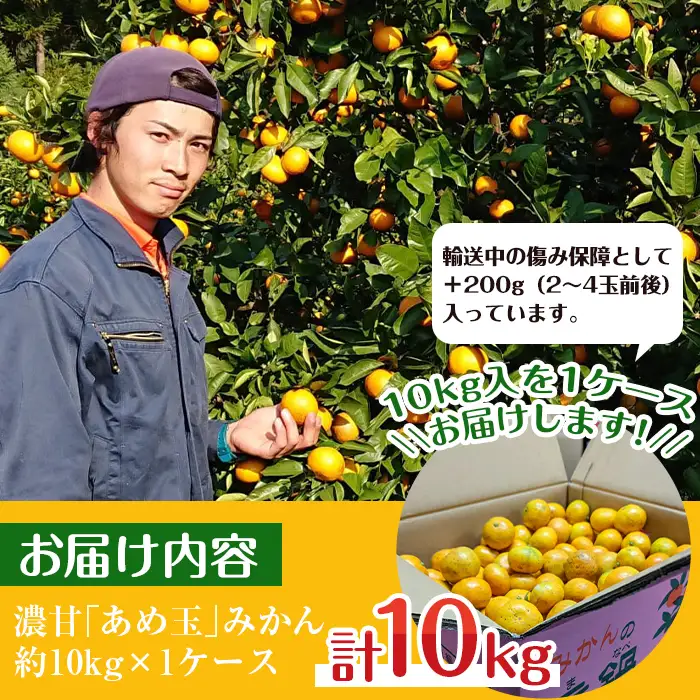 i572 【特別栽培・最高金賞】濃甘あめ玉みかん(3S~M / 約10kg・1箱＋傷み保障 約200g(3～4玉)  ) みかん 蜜柑 ミカン 柑橘 果物 フルーツ 果実 国産 鹿児島 【Farmer friends Marche】