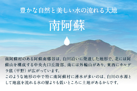 DLG7連続金賞受賞！『阿蘇の逸品』ハム・ソーセージ「熊本・阿蘇」詰め合わせ《30日以内に出荷予定(土日祝除く)》物産館自然庵 ハム ソーセージ ウィンナー ベーコン st-p
