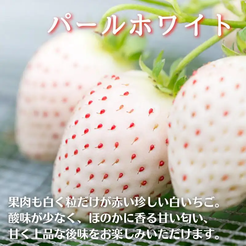 いちご 佐賀県産いちご さがほのか＆パールホワイト 紅白セット【1～4月発送】：B140-008