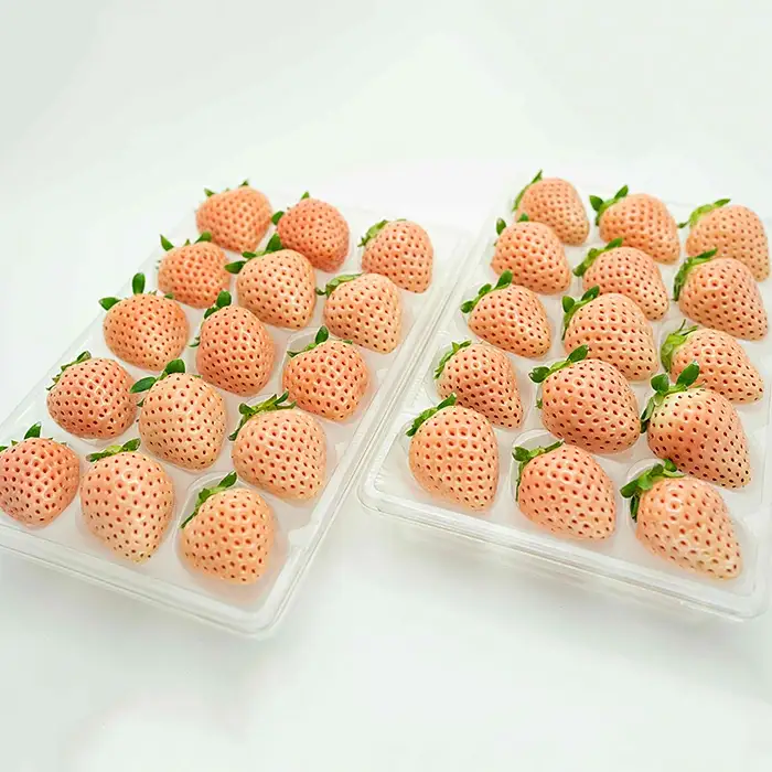 【定期便3回】佐賀県産 ３種いちご食べ比べ【2027年1～3月発送】苺 イチゴ：B395-007
