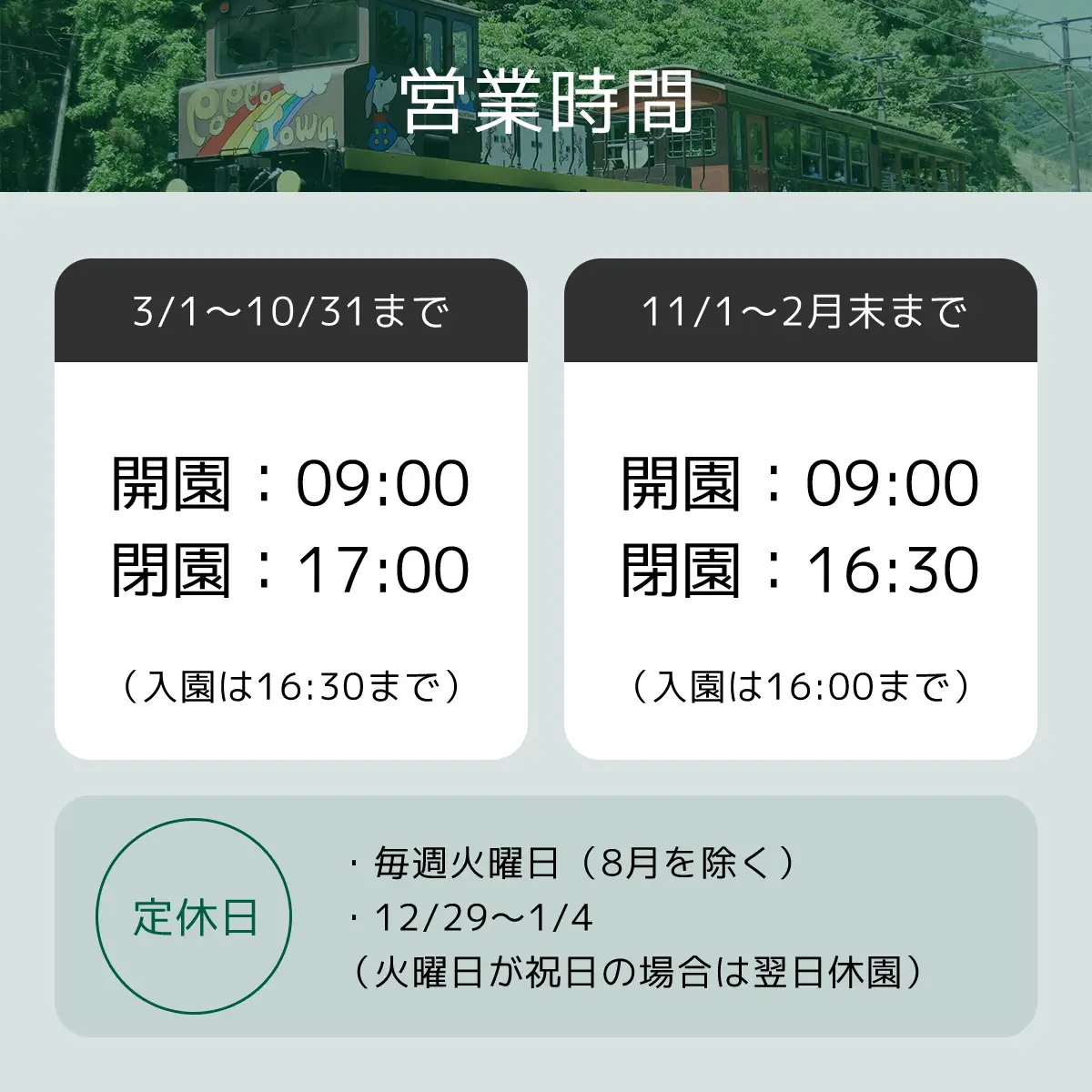 入園招待券3枚セット ANAE001