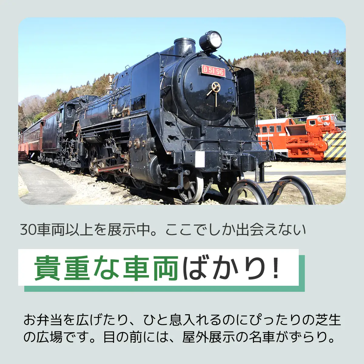トートバッグ（Ｌサイズ・ＥＦ６３） ANAE006