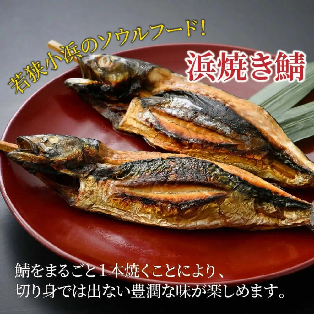 若狭小浜 桝屋の浜焼き鯖2本入り [BFAO008] 【配送不可地域：離島】 