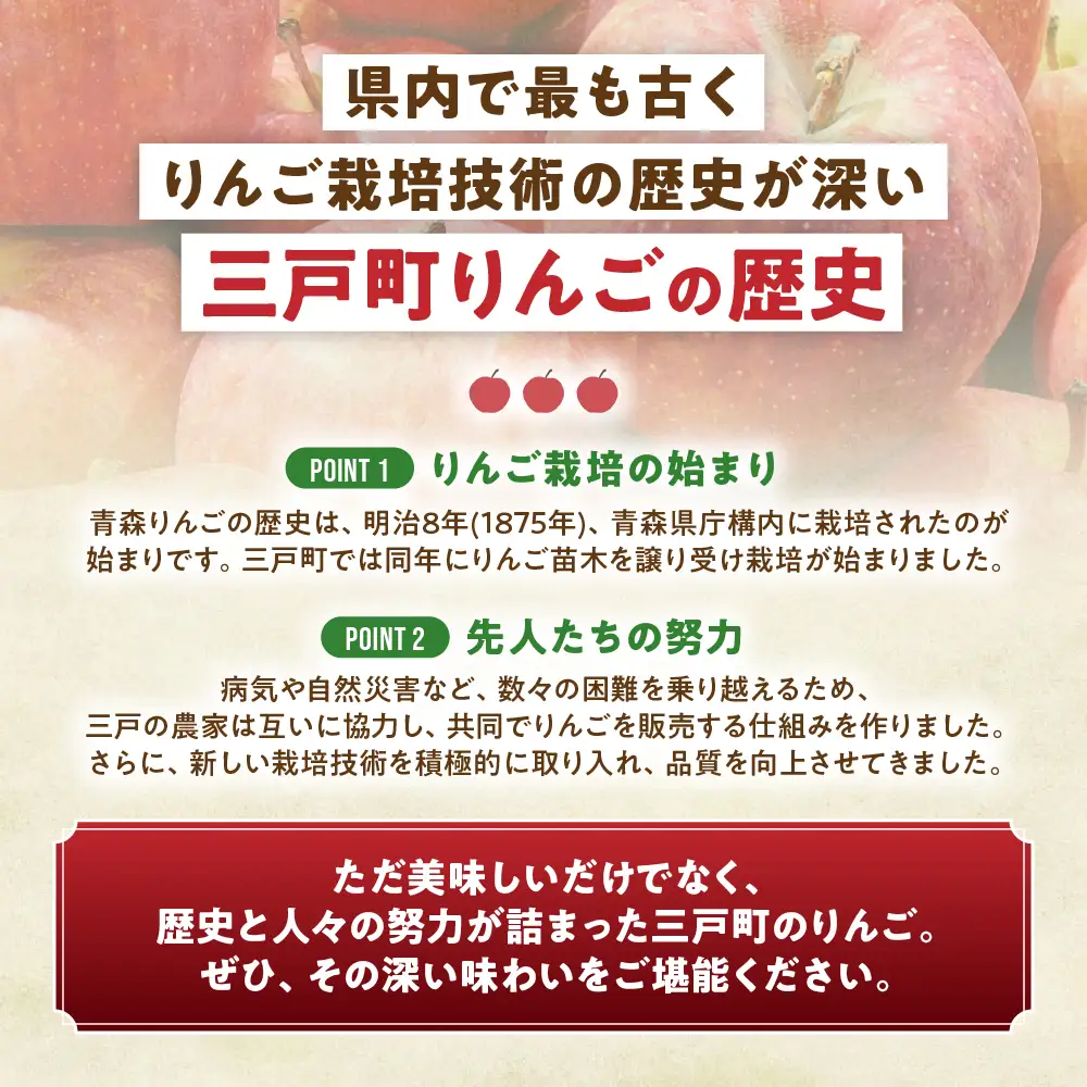 青森県産りんご あいかの香り 約5kg 11月中旬～ りんご