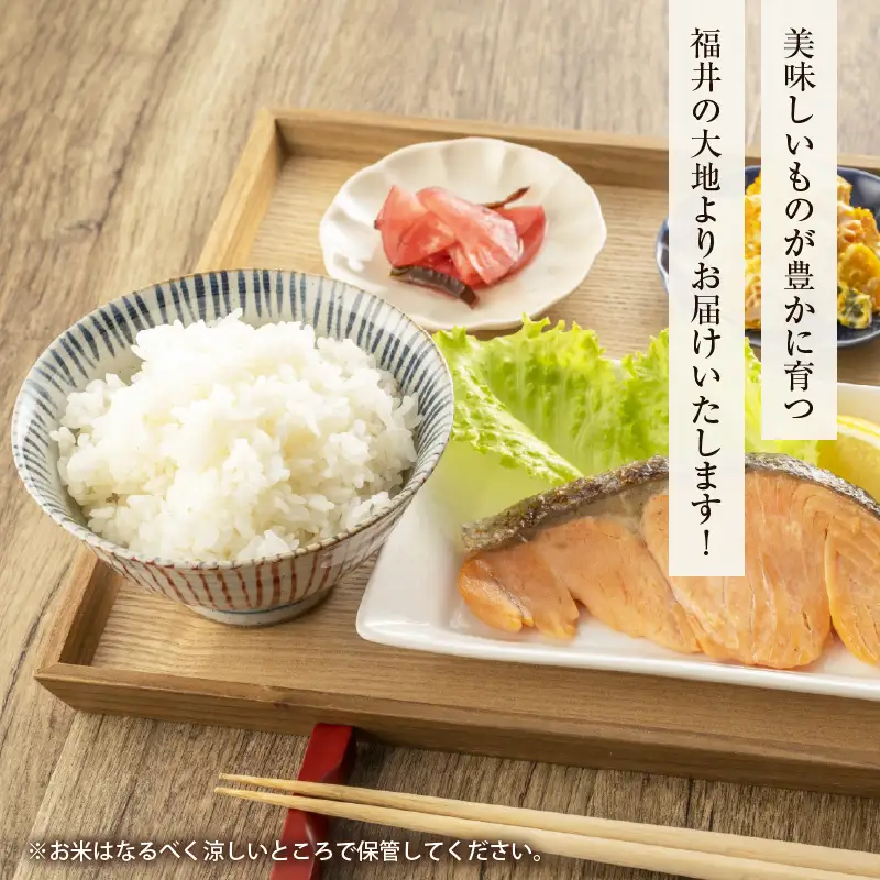 【令和6年産 新米】《定期便12回》7人の米農家 5kg 食べ比べ ＜坂井市 あわら市産＞ ／ コシヒカリ あきさかり ミルキークイーン ハナエチゼン みつひかり にこまる きぬむすめ しきゆたか [aw037-l001]