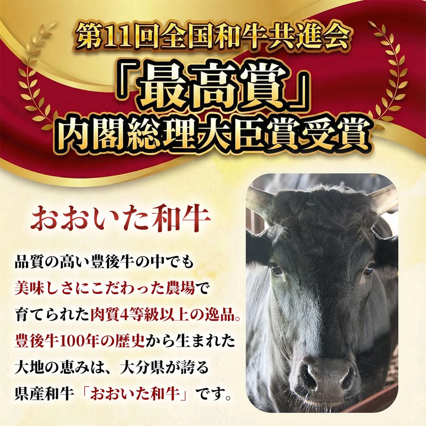 ローストビーフ 牛肉 牛 国産 人気 和牛 ／ おおいた和牛のローストビーフ600g (特製ソース付)  ＜102-502＞