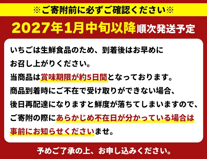 ＜先行予約受付中！2027年1月中旬以降順次発送予定＞ 鹿児島県産 いちご (さがほのか「秀大」・計約1.4kg・40粒×2箱) 鹿児島 阿久根 果物 フルーツ イチゴ いちご 苺 さがほのか デザート おやつ 期間限定 数量限定 【鹿児島いずみ農業協同組合】akn018-21