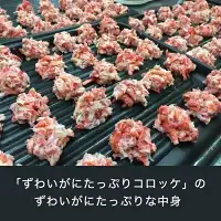 魚介 惣菜 6種 うれしい セット ( かにコロッケ エビフライ あじフライ いかフライ かきフライ えびカツ )  カジマ 魚介 海老 海鮮 冷凍保存 カニ 蟹 ずわい_AF052