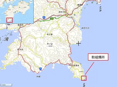 足摺ヤブ椿再生プロジェクト 応援一口 5,000円（1,500円分） ※返礼品なし※ 自然保護 椿 つばき ツバキ 藪椿 ヤブツバキ クラウドファンディング 募金 環境保護 SDGs 高知県【R01751】