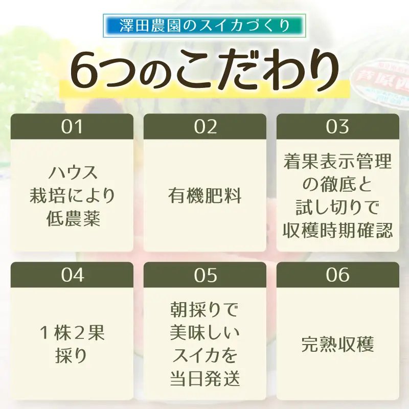 【先行予約】小玉すいか 愛娘(まなむすめ) 2kg以上 2玉入 ＜大玉のようなシャリ感！皮際まで抜群に甘い＞ ／ 期間限定 あわら 果物 フルーツ 産地直送  スイカ 小玉スイカ ※2027年6月上旬より順次発送 [aw039-a017]