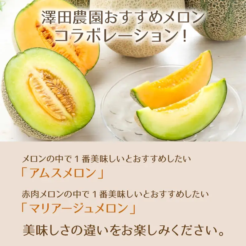 【先行予約】アムス・マリアージュメロン 2種（1.3kg以上 2玉入）農園1番のおすすめ！ / あわら 期間限定 果物 フルーツ 産地直送 青肉 赤肉 人気 ※2027年7月上旬より順次発送 [aw039-a019]