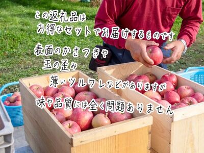 りんご 訳あり サンふじ 青森県産 ヒバリノ園 りんご【約5kg 14〜18玉】