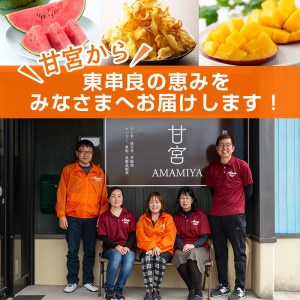 【200891】＜定期便・全12回(連続)＞東串良町の甘宮のバラエティ定期便(マンゴーやさつまいも、スイカ、メロンやお菓子など)【甘宮】