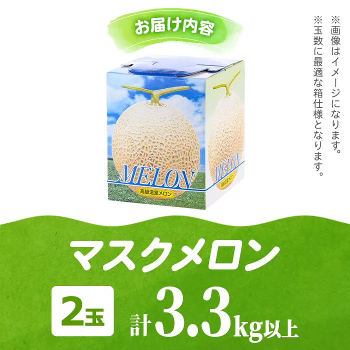 【0242205a】まるまる育ったマスクメロン(2玉・計3.3kg以上) マスクメロン フルーツ 果物 果実 3キロ 数量限定 期間限定【まる美園芸組合】