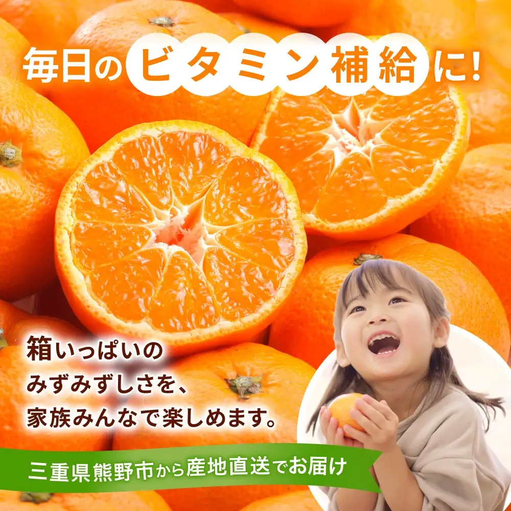 みかん 早生温州みかん 5㎏【knpr0014A】