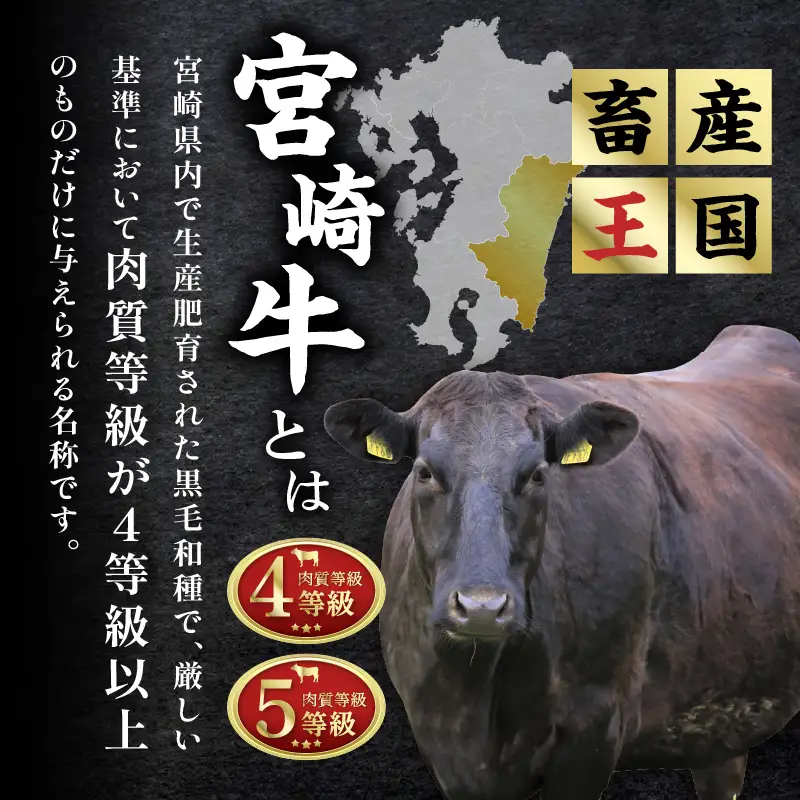 宮崎牛サーロインステーキ&肩(ウデ)すき焼き用セット合計500g 肉 牛 牛肉 焼肉 国産 _T009-0036