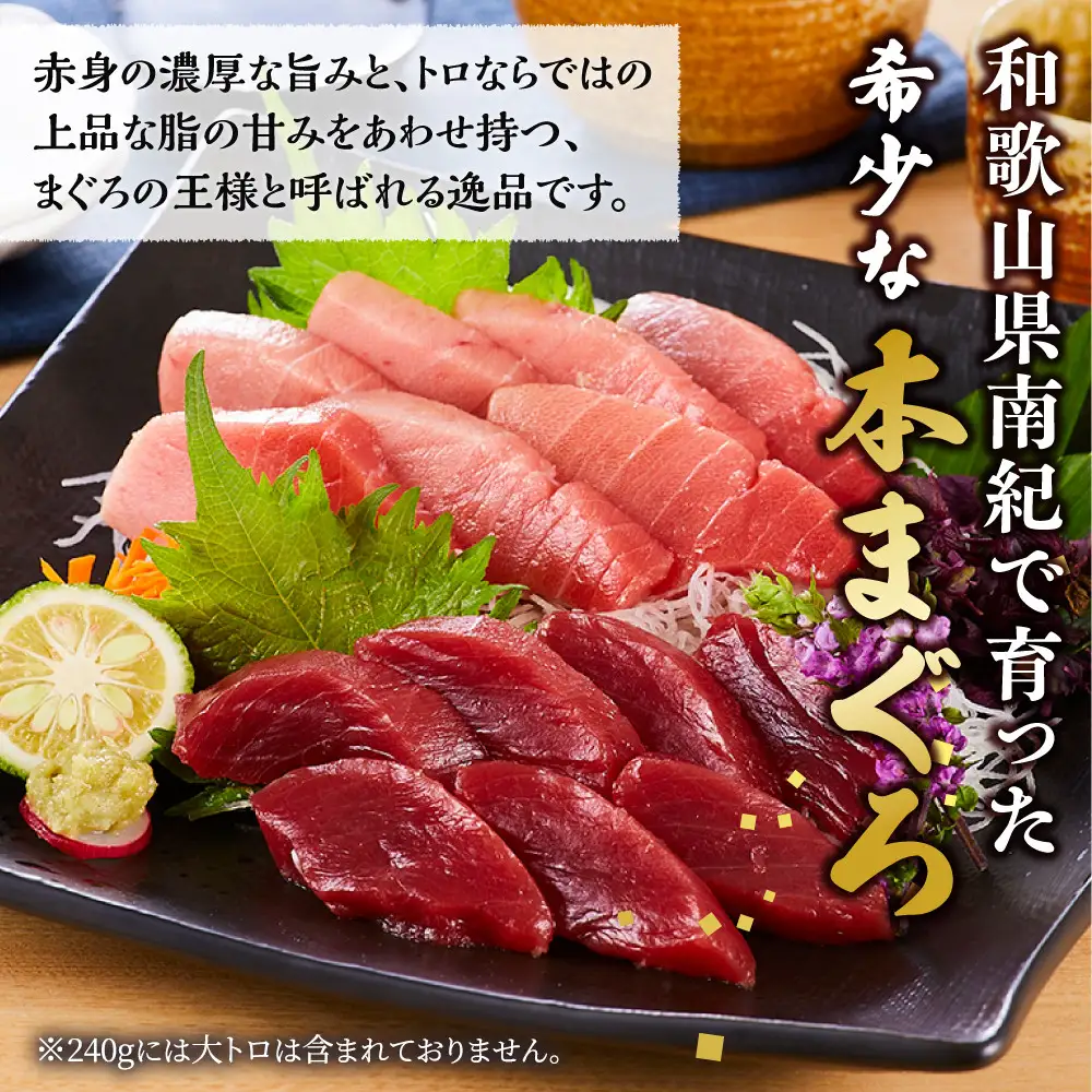 本マグロ（養殖）トロ 赤身 セット 240g まぐろ 