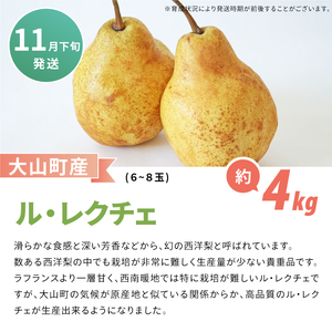 YN-09　鳥取県産洋ナシ ル・レクチェ梨　4kg