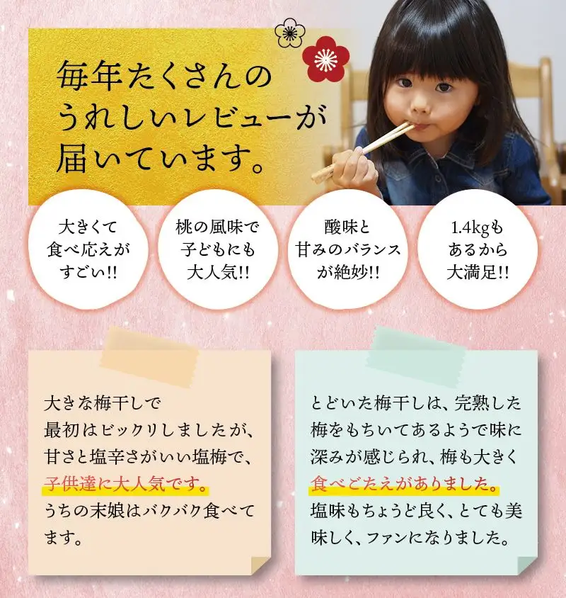 最高級紀州南高梅・大粒桃風味梅干し1.4kg【ご家庭用】 / 梅干 梅干し 梅 南高梅 人気 大粒【inm600C】