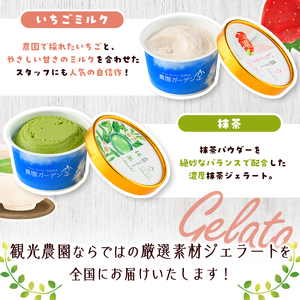 ＼テレビで紹介されました！／農園ガーデン空 楽園のジェラートセット(90ml×6個) ジェラート アイス いちご いちごミルク レモン ブルーベリー 抹茶 デザート スイーツ おやつ 夏 鹿児島 バラエティ バレンタイン ホワイトデー【農園ガーデン空】akn026-12