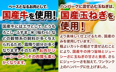 ハンバーグ 10個 国産のお肉使用！ 鶏肉不使用 温めるだけ 「通の贅沢ハンバーグ」濃厚デミグラスソース《7-14日以内に出荷予定(土日祝除く)》 牛 訳あり 小分け 早く届く