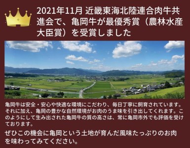 亀岡牛 焼肉 4種セット 600g 焼肉