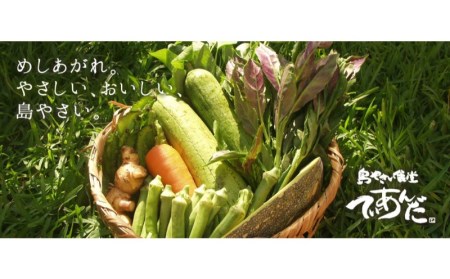 【島やさい食堂てぃーあんだ】沖縄県産豚のラフテー（豚の角煮）